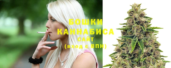 PSILOCYBIN Богородицк