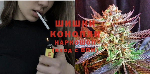 PSILOCYBIN Богородицк