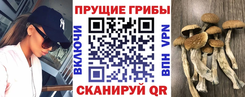 где купить наркоту  Ижевск  Галлюциногенные грибы MAGIC MUSHROOMS 